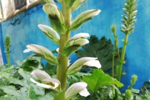 La naturopathie - remplace ciel La naturopathie - remplace ciel