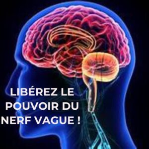 Libérez le pouvoir du nerf vague pour diminuer le stress et améliorer votre santé Libérez le pouvoir du nerf vague pour diminuer le stress et améliorer votre santé