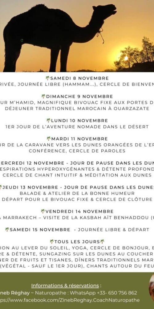 Flyer désert 2025 - verso(1) Flyer désert 2025 - verso(1)