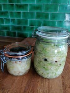 Recette de lacto-fermentation, salage à sec
