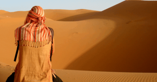 Zineb Réghay - Naturopathe à Bordeaux et au Bouscat